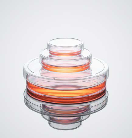 Cell culture dishes 35 / 60 / 100 mm (photo)