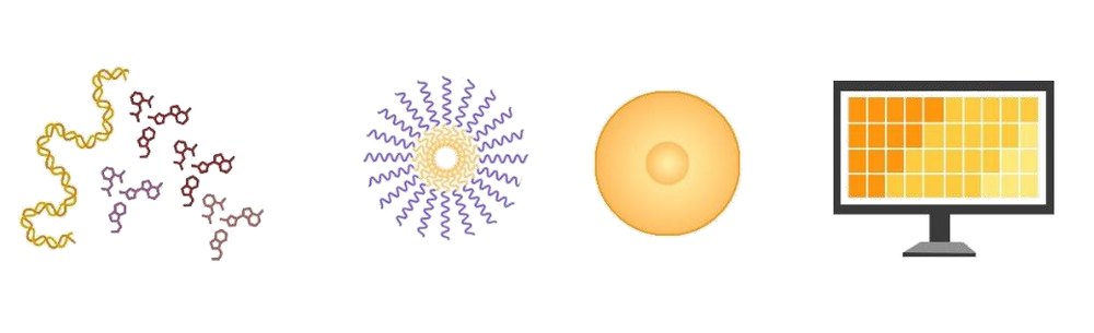 Screening of modified molecules for Hieff Trans novel transfection reagents