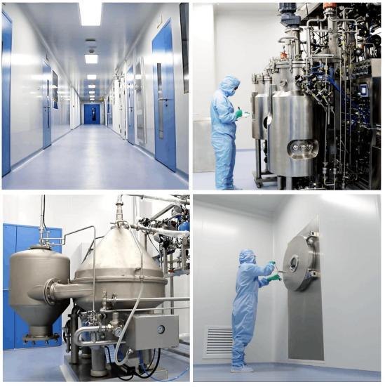mRNAtools manufacturing plant: cleanroom corridor, fermentation and purification equipment (photos)