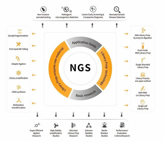NGS platform overview: application fields, library preparation technology, library prep raw materials and basic research